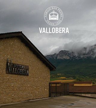 Visite de cave et dégustation de vins à Bodegas Vallobera