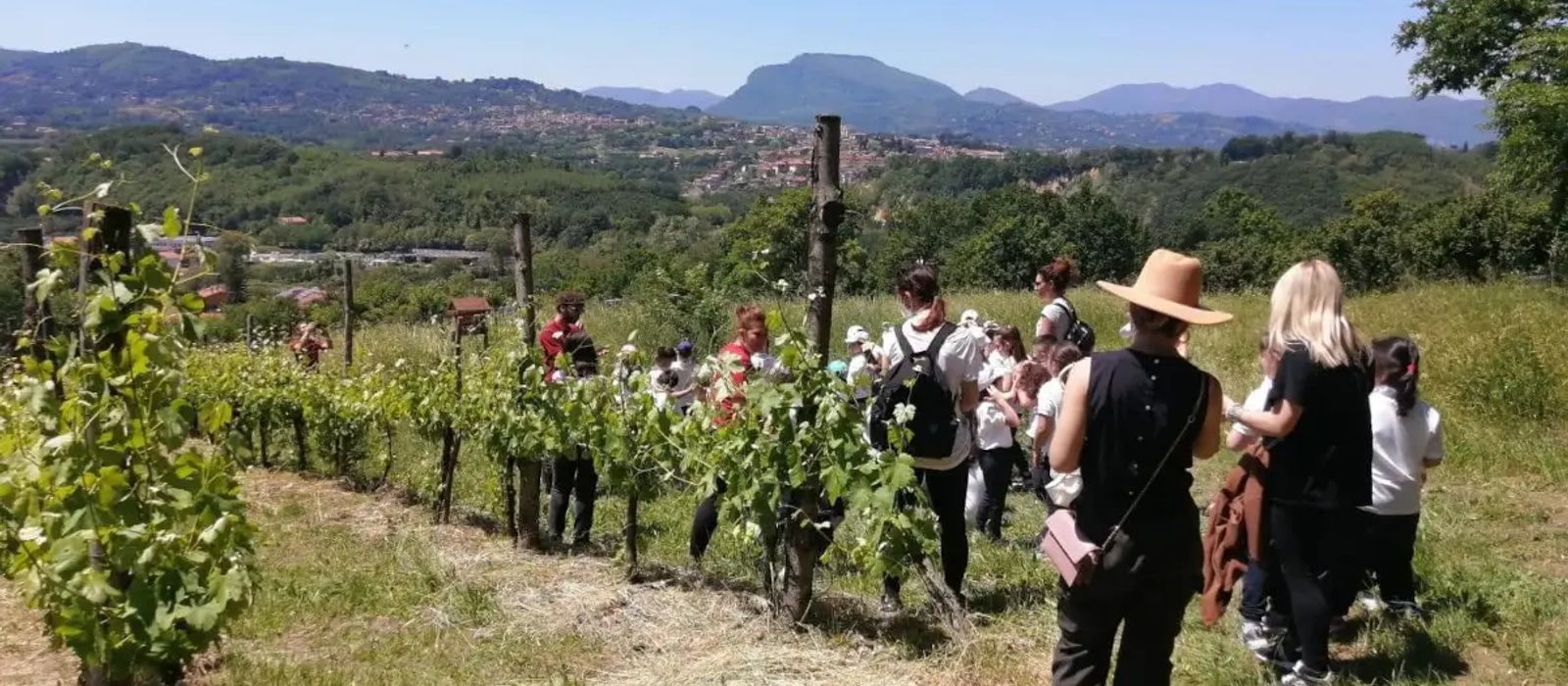 MTV CAMPANIA Cantine Aperte