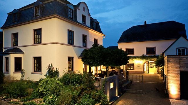 Dégustation de vins et visite au Weingut Gebr.