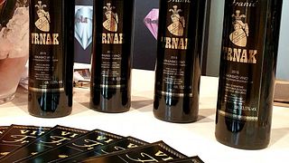 Trnak Variety 101 : Entretien avec le vigneron Goran