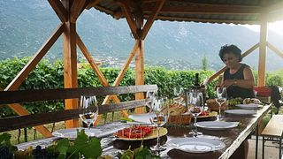 Jardin des Vins - Déjeuner dans les Vignobles chez Winery Franić
