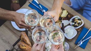 Wine Journey at Dominium Winery and Pension