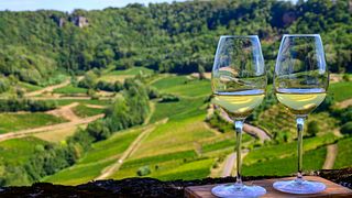 Test Winery: Momish - A Taste of Calabria