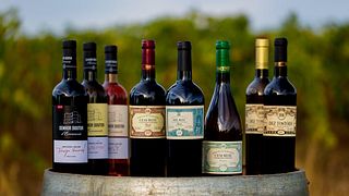 Degustazione di vini della gamma Dez Tostões