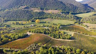 Visite VIP de la cave Vineria del Carmine