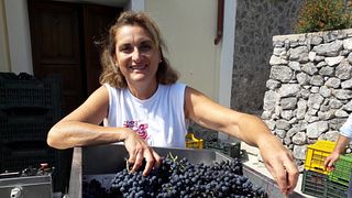 Degustação de vinhos e tour no Le Vigne Di Raito