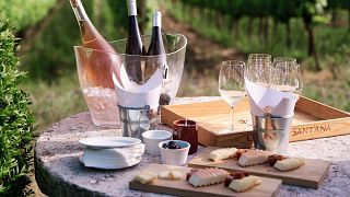 Dégustation de vin pour les amateurs de vin à Quinta De Sant'Ana