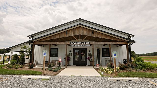 Vinprovning och rundtur på Salted Vines Vineyard & Winery