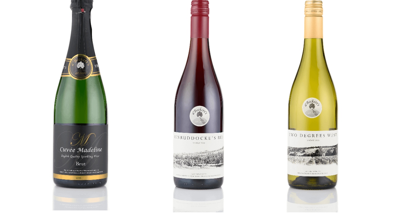 Personal Wine Tour and Tasting for Two