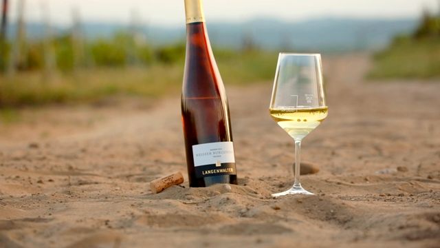 Wine Tasting and Tour at Weingut Langenwalter