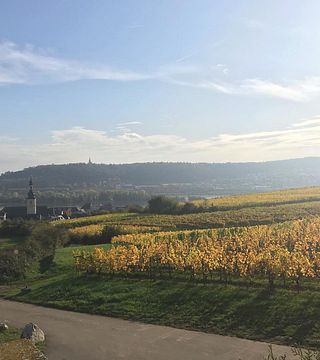 Weingut Adolf Störzel