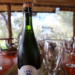 Un sogno che si avvera: dal vino per le nozze al paradiso per la luna di miele ⭐