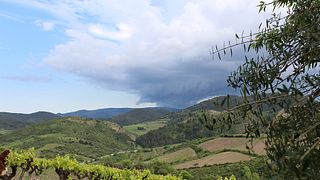 Dégustation et visite des vins du Domaine Lérys