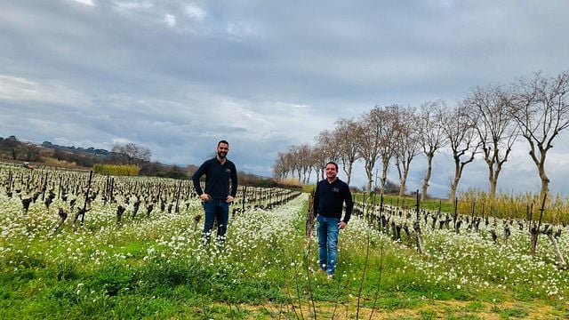 Domaine Bassac