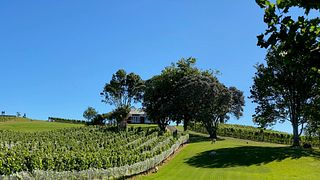 Sculptureum Winery