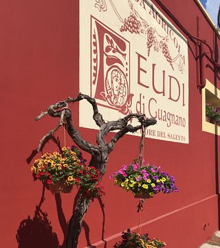 Degustação de vinhos La Marenna no Feudi Di Guagnano