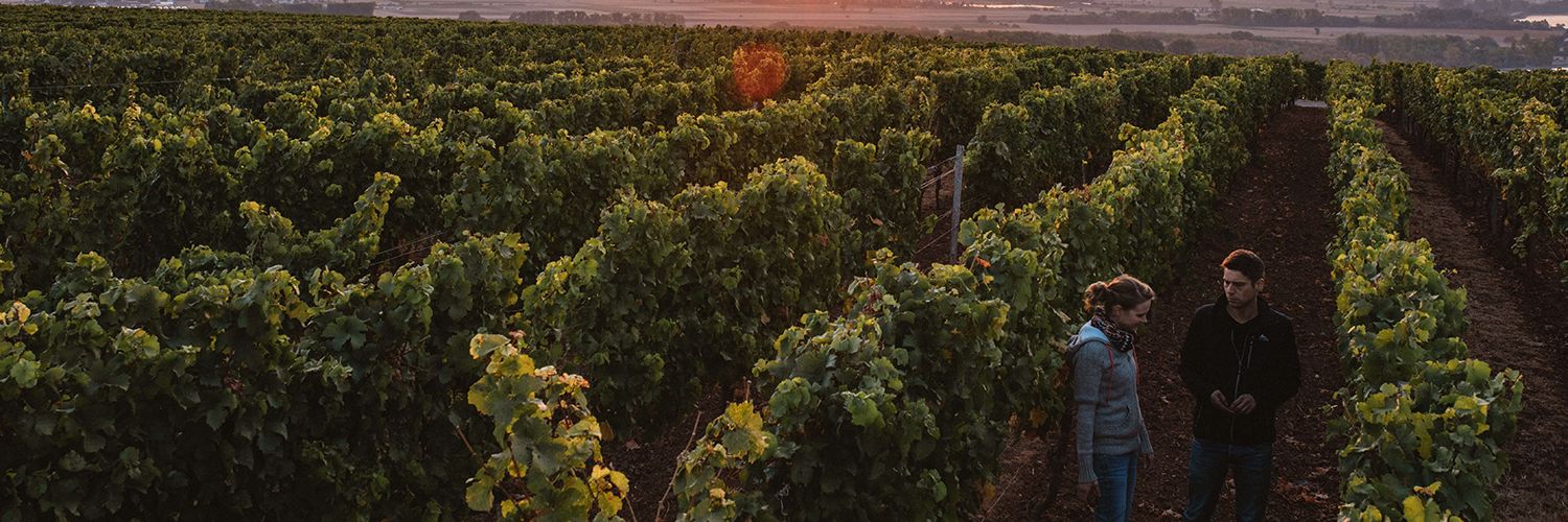 Weingut Lisa Bunn 1 Wt2025