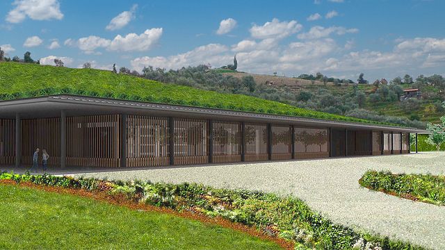 La Cantina Degli Abissi - Bisson Vini
