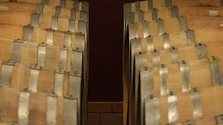 Tuscan Winemaker Tour & Tasting at I Cipressi