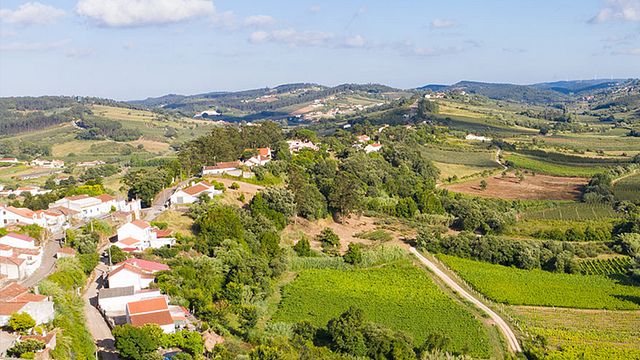 Vinhos Cortém : visite du vignoble et dégustation de 6 vins avec collations