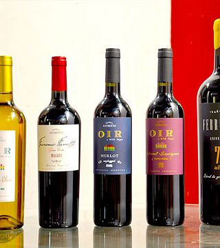 Visite et dégustation de vins à la Bodega Favretto