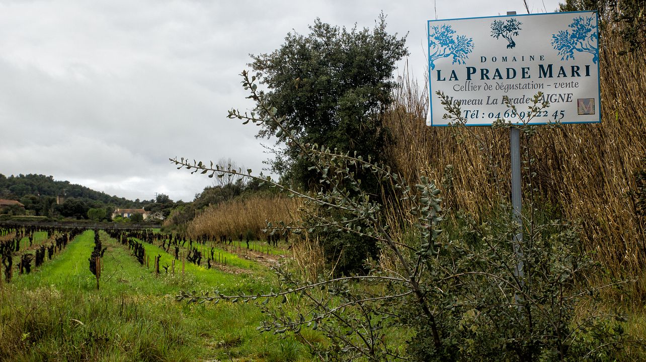 Domaine La Prade Mari