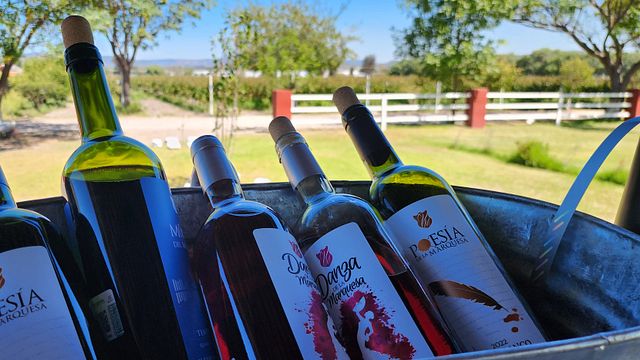 Ferme, vignobles et villages magiques
