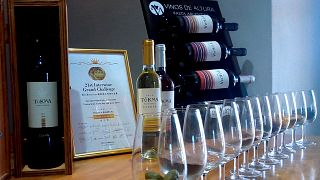 Norte Wine & Vineyard Journey at Tukma