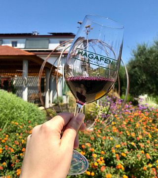 Degustazione esclusiva seduti presso le cantine Hagafen