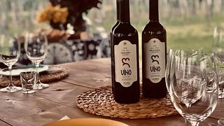 Degustação de vinhos e tour na Artana Wines