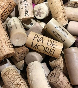 Dégustation de vins et visite du Pla de Morei