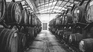 Dégustation premium à l'Azienda Vinicola Vernaccia F.Lli Serra