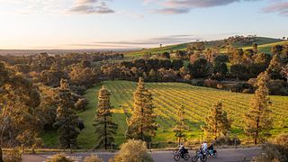 Recorrido gastronómico y enológico en bicicleta eléctrica 'Experimente Barossa'