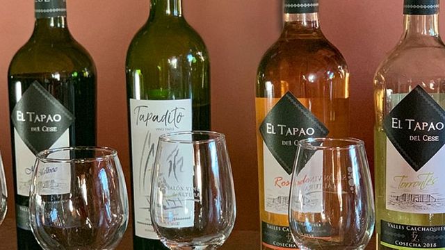 Weinprobe in der Bodega El Cese