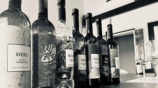 Elisir-Verkostung | Vigneti Vallorani