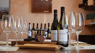 Wine Tasting and Tour at Oscar Bosio Winery