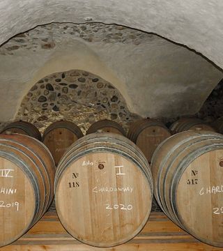 Vinprovning och rundtur på Cantina A. Martinelli 1860 Winery