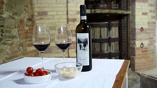 Cantina Giuliano: A Taste of Tuscany