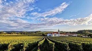 Quinta D'Amares