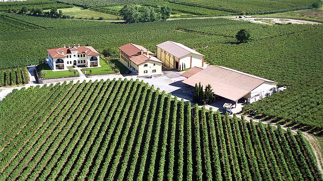 Weinprobe und Tour am Monte del Frà