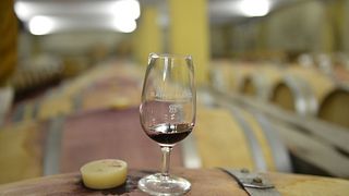 Kellerführung und Weinprobe in der Cave Saint-Marc
