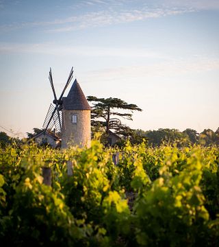 Château Malescasse