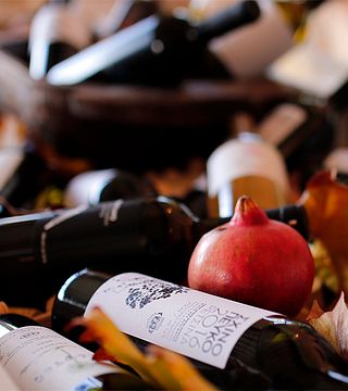 Dégustation de vins et visite au musée du vin de Markou