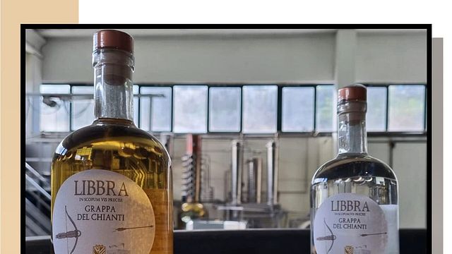 Weinprobe und Tour bei Tenuta Mercatili