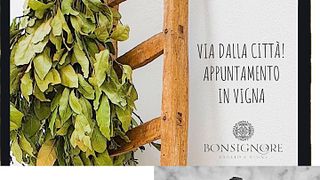 Barocco & Wein | Baglio Bonsignore Società Agricola