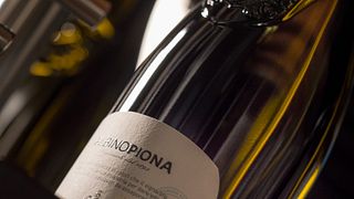 Cata de vinos y visita a la Azienda Agricola Albino Piona