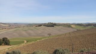 DEGUSTAZIONE BRUNELLO UND BESUCHSLEITFADEN