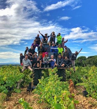 Weinprobe und Tour im Chateau Fortia