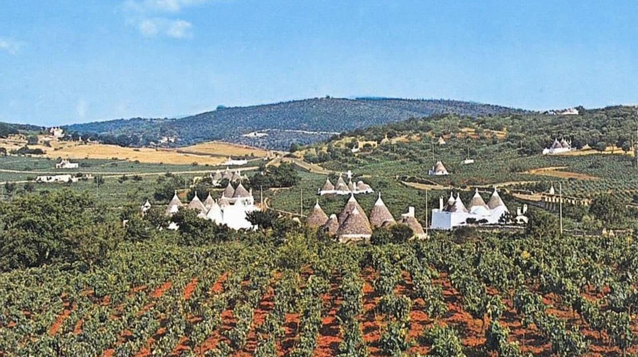 Azienda Vitivinicola di Santoro M.E./Tenuta Santoro
