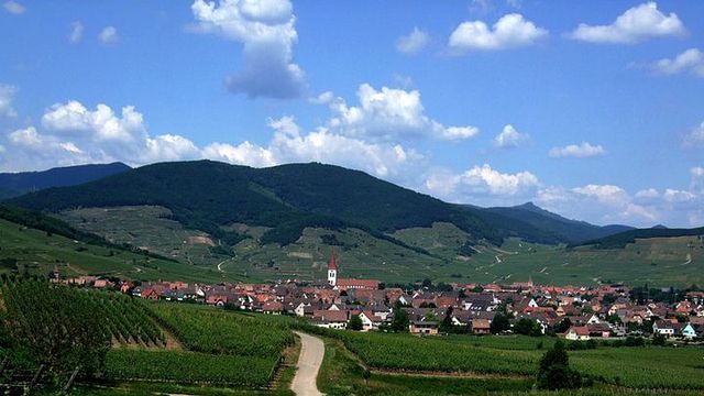 Dégustation et visite de vins biodynamiques chez Etienne Simonis